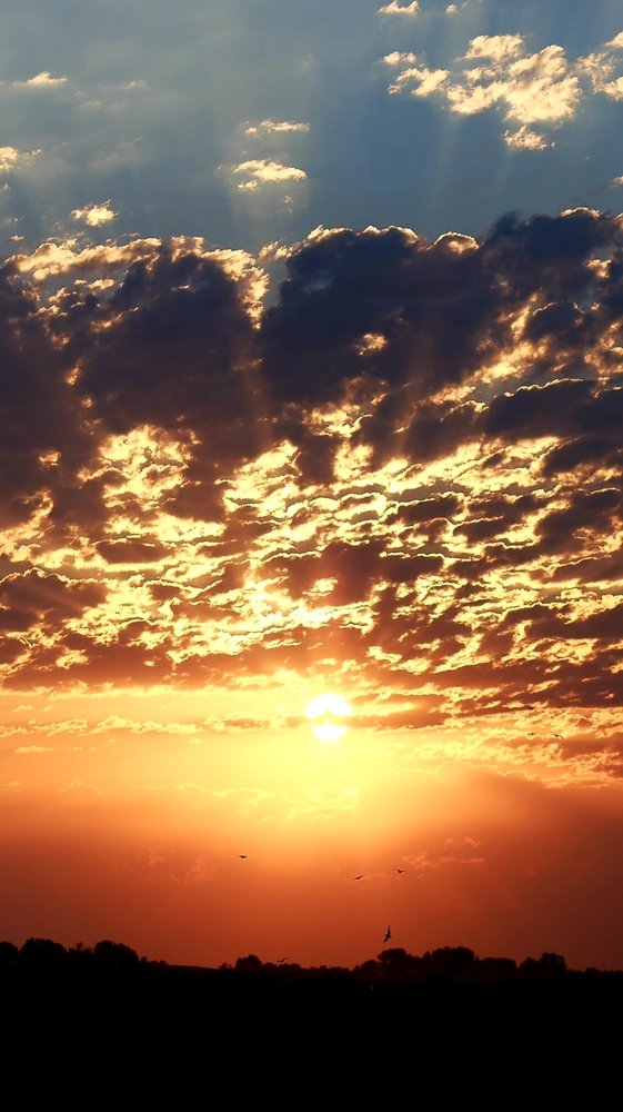 Photograph by Юрьевич Алексей