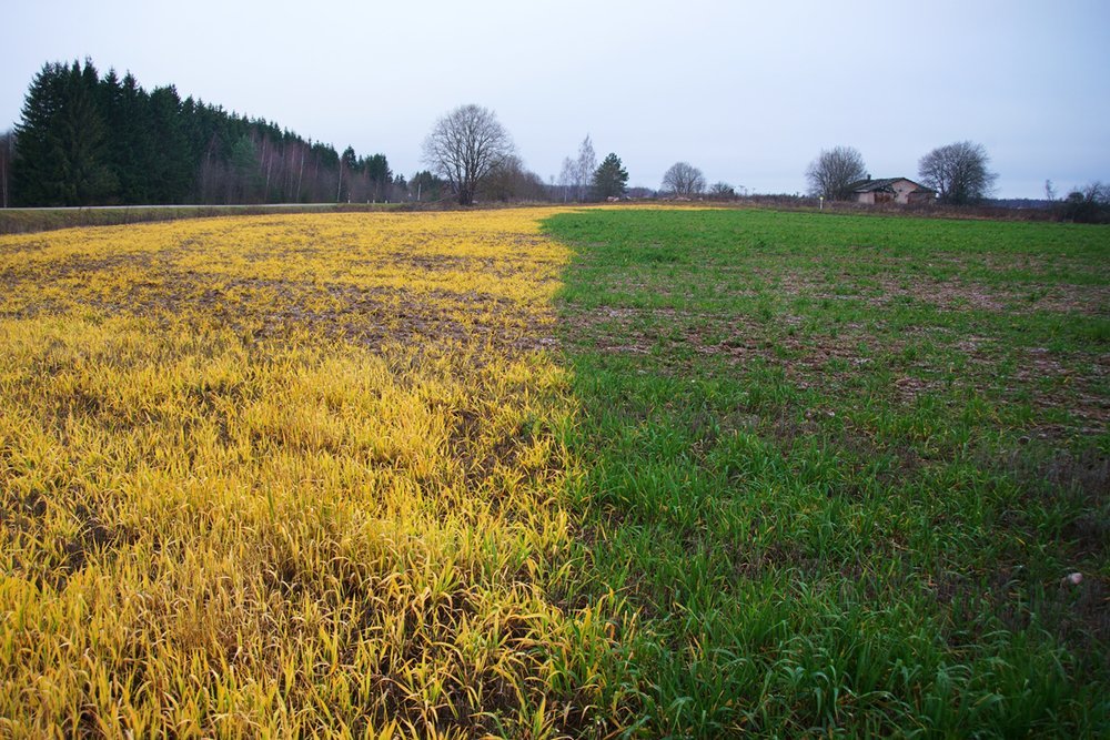 цветораздел