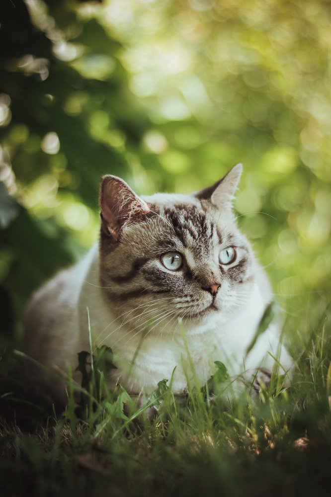 Photograph by Екатерина Михайлова