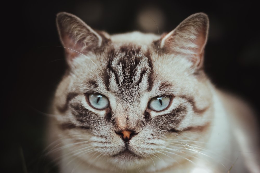 Photograph by Екатерина Михайлова