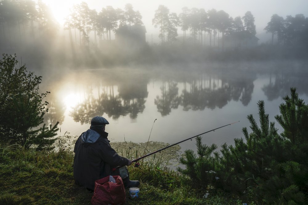 Августовское утро!