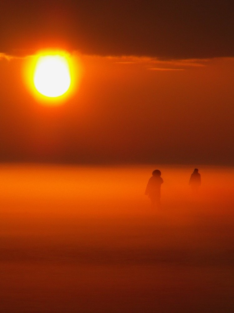 Photograph by Ирина Богатырева