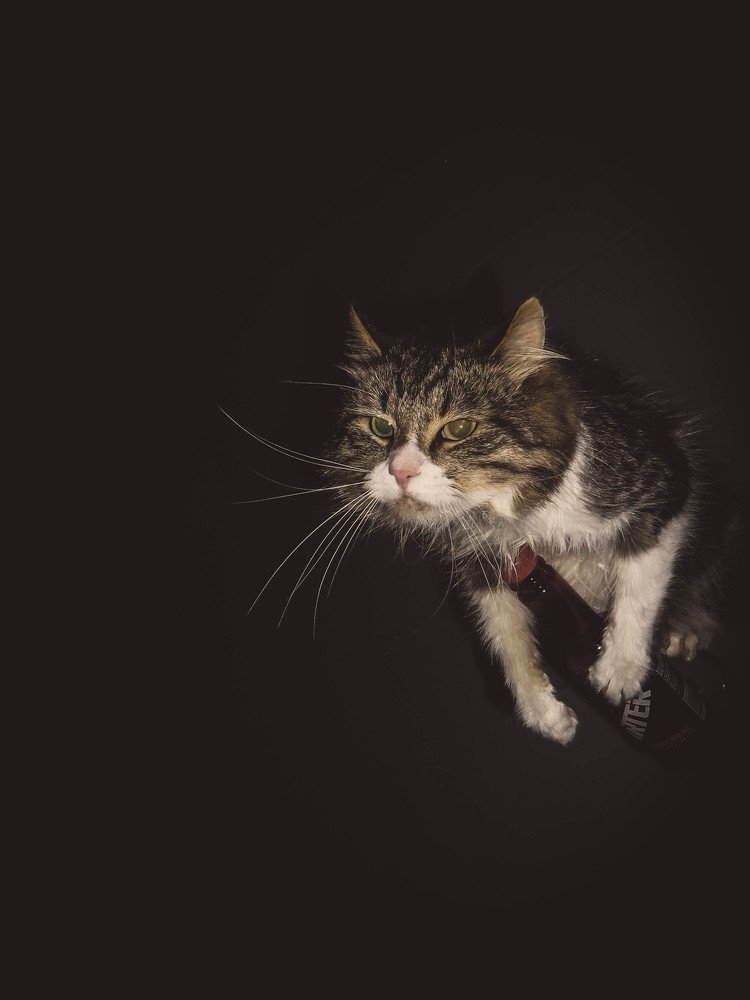 Photograph by Jana Kolostov