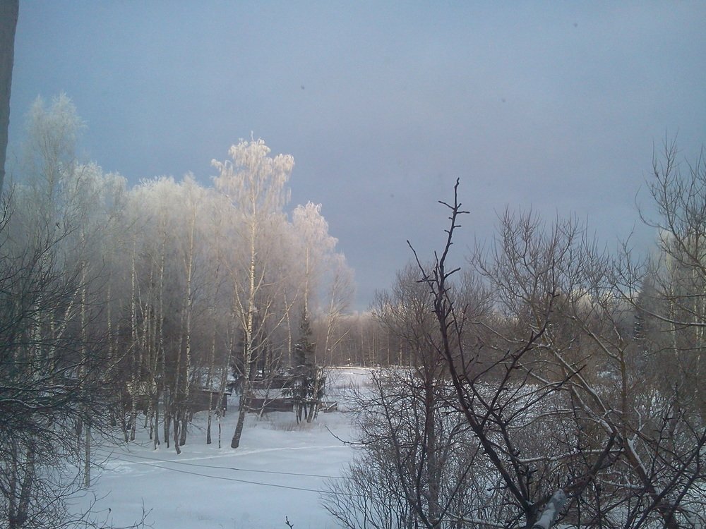 Волшебница зима