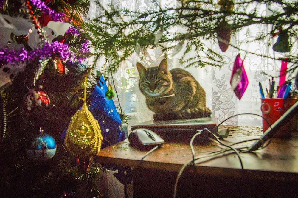 Предвкушение