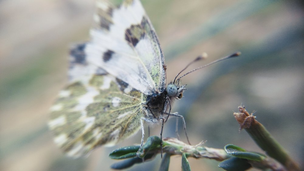 Природная хрупкость