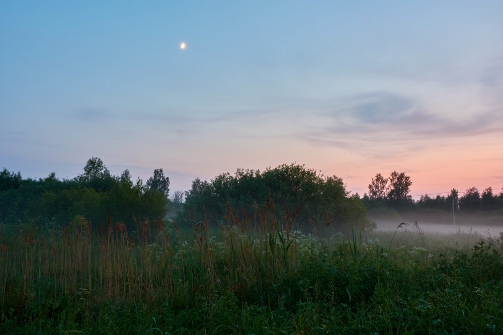 Предзакатный туман