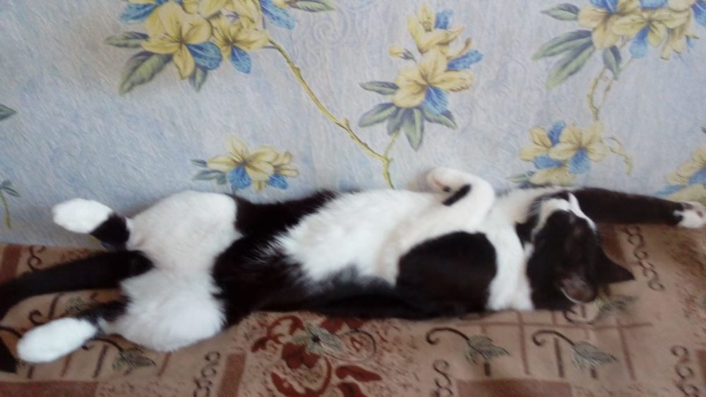 Photograph by Ольга Рогова