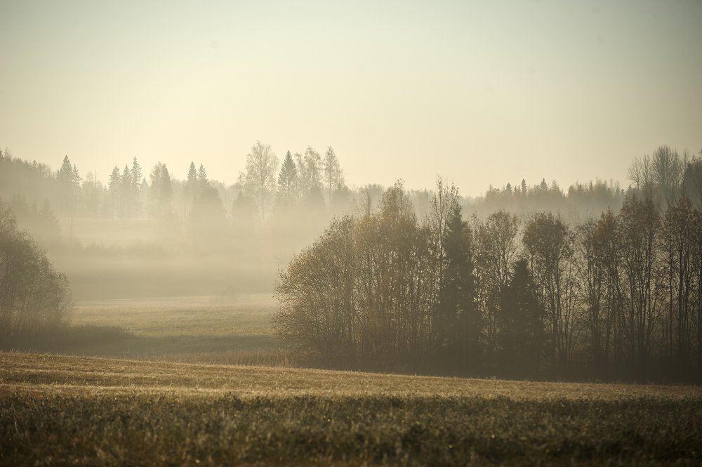 Photograph by Константин Зернов