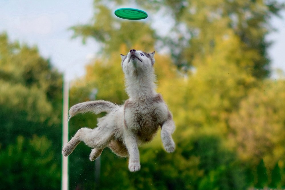 Фотография автора Мария Яропольская