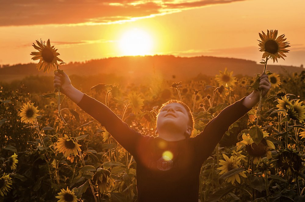 В лучах славы