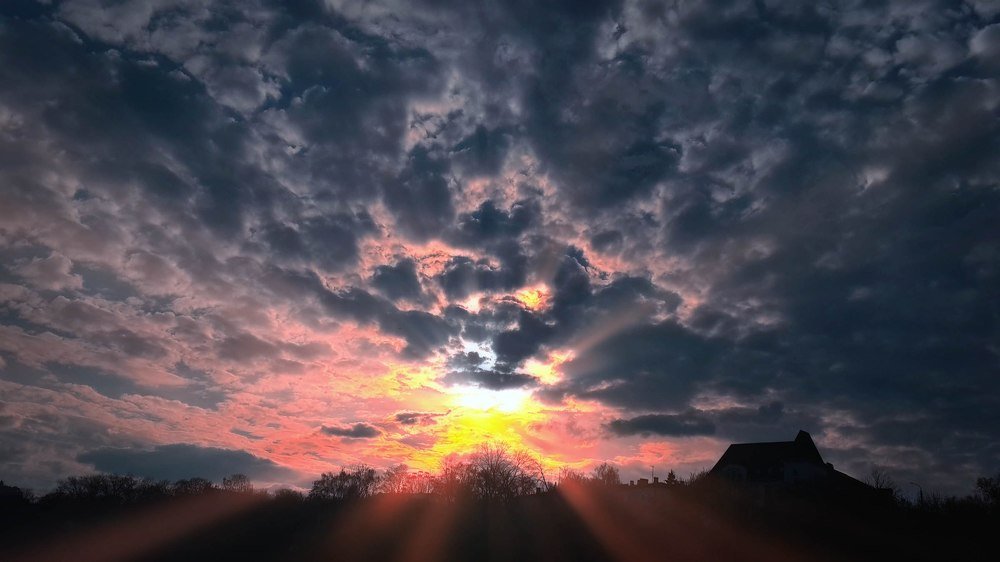 После дождя