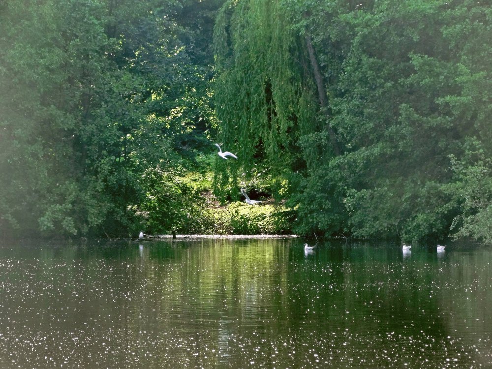 Photograph by Екатерина