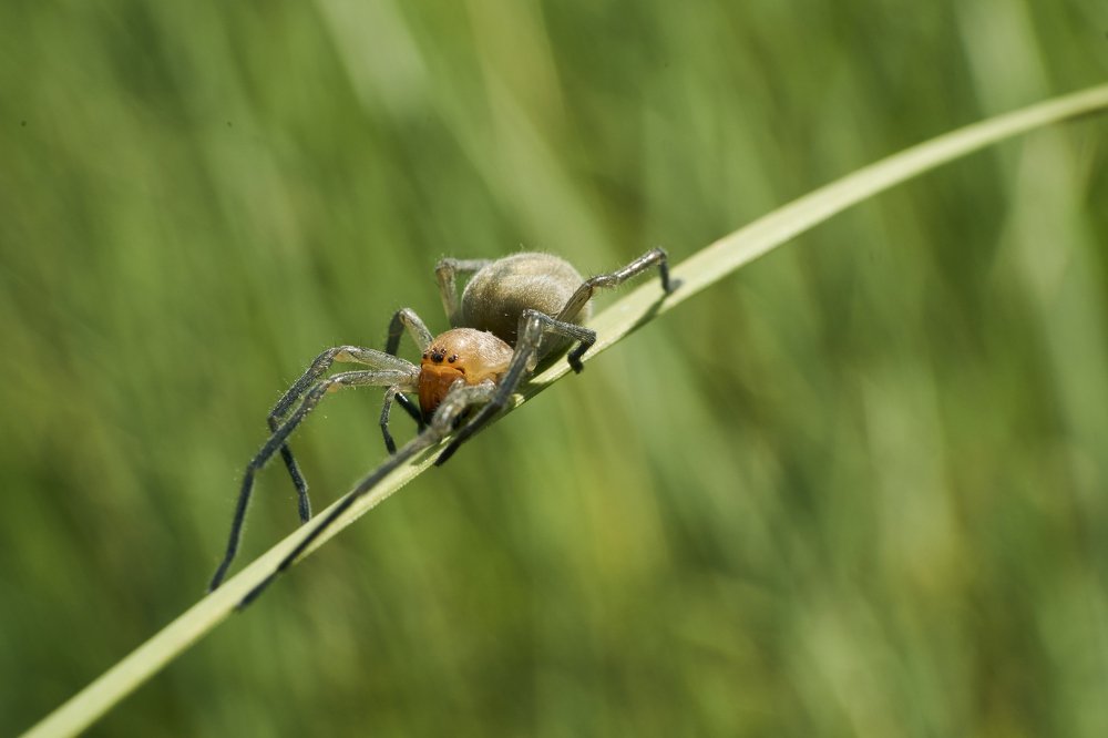 Photograph by Наталия Маслова
