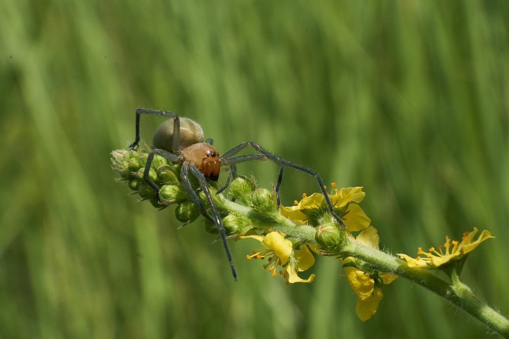 Photograph by Наталия Маслова