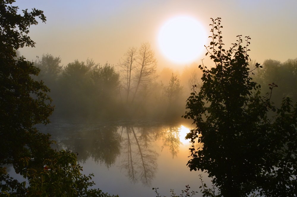 Июльский рассвет.