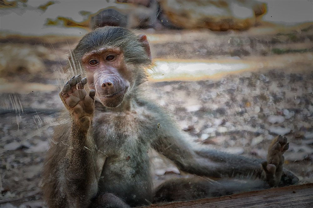 Photograph by Тася Карагодина