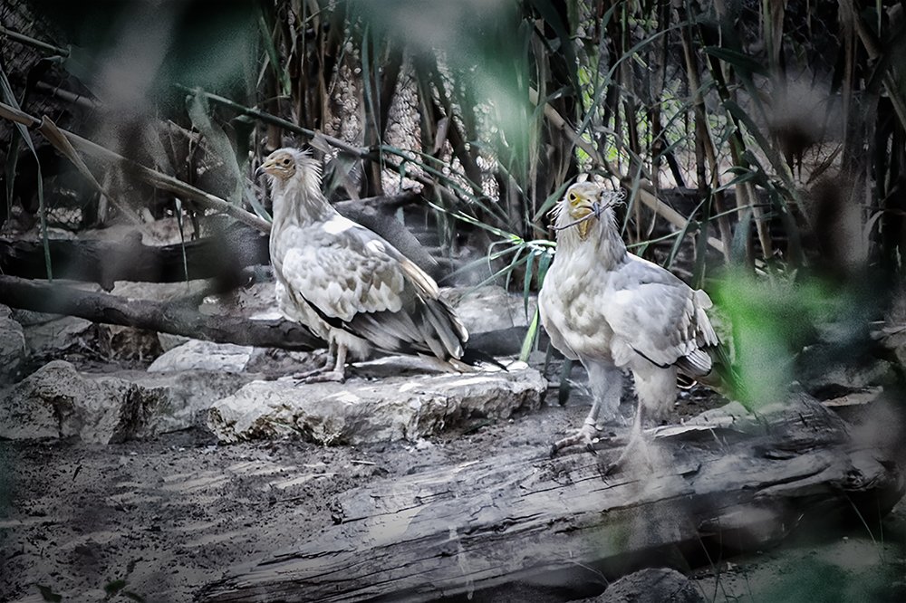 Photograph by Тася Карагодина