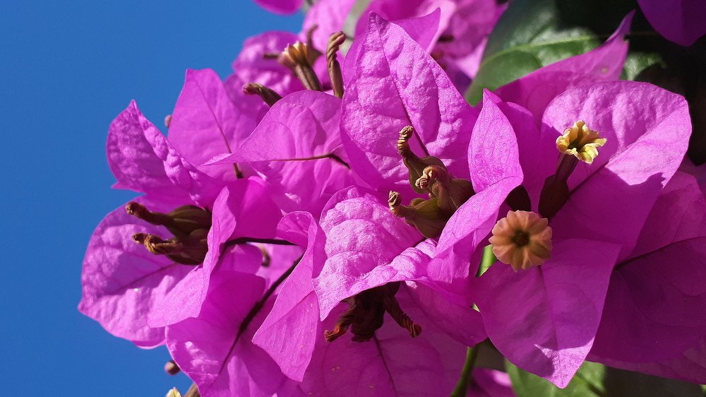 Summer on the island