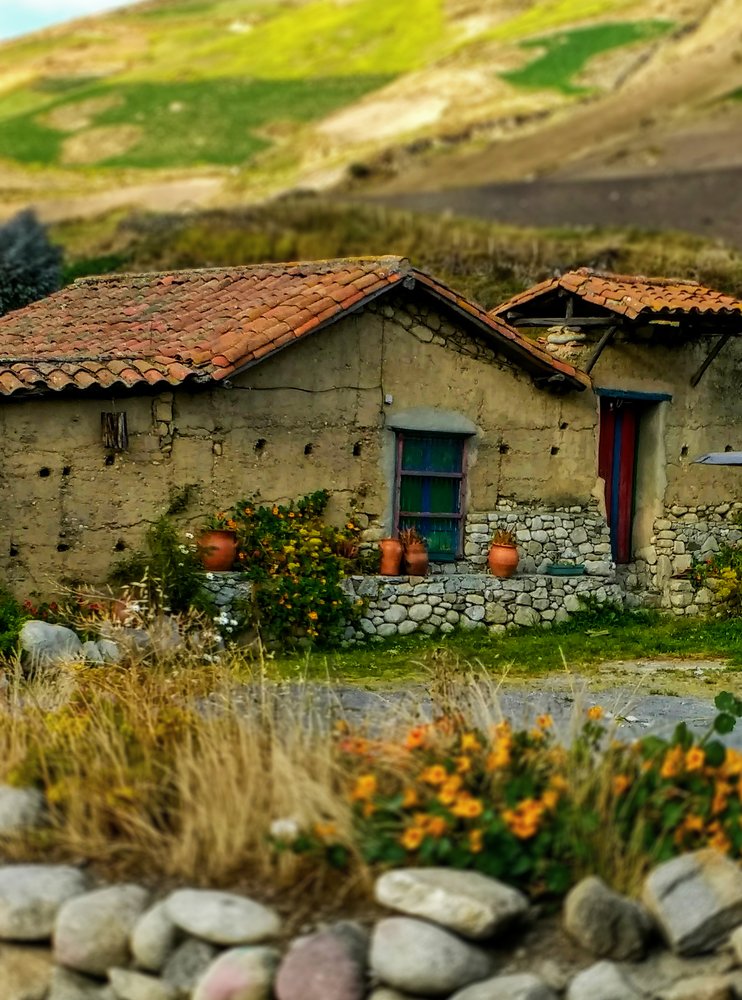 SORPRESAS EN EL CAMINO