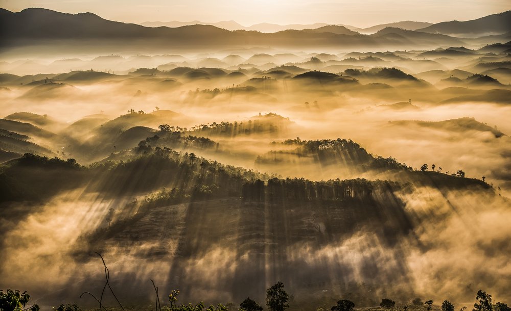 Morning in the cloud