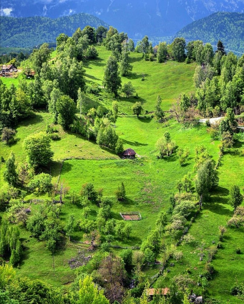 Photograph by Ovidiu Ovy