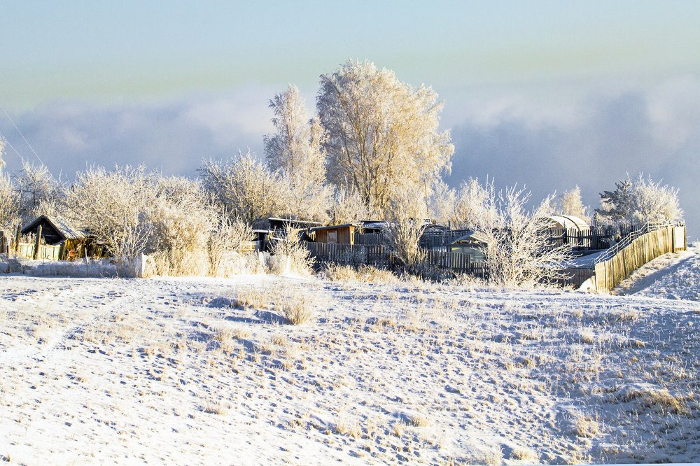 морозное утро