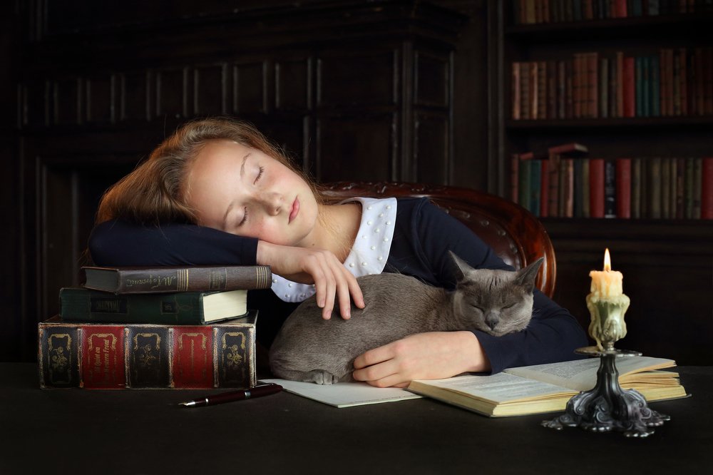 В старой библиотеке In the old library