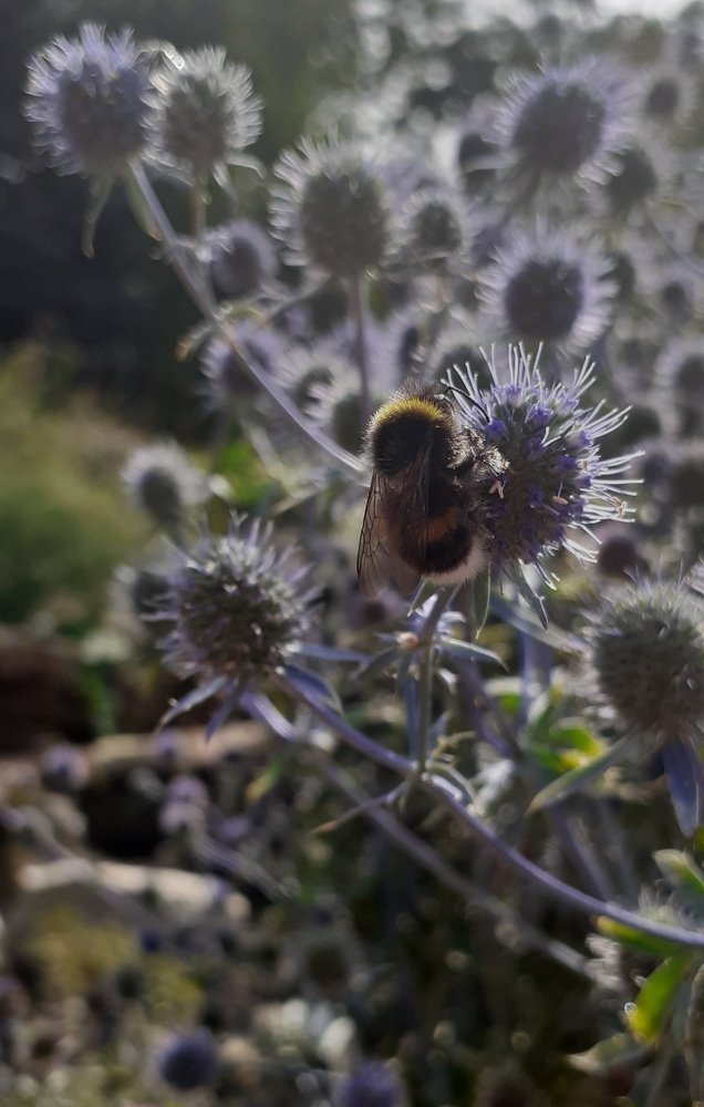 Photograph by Любовь Макарова