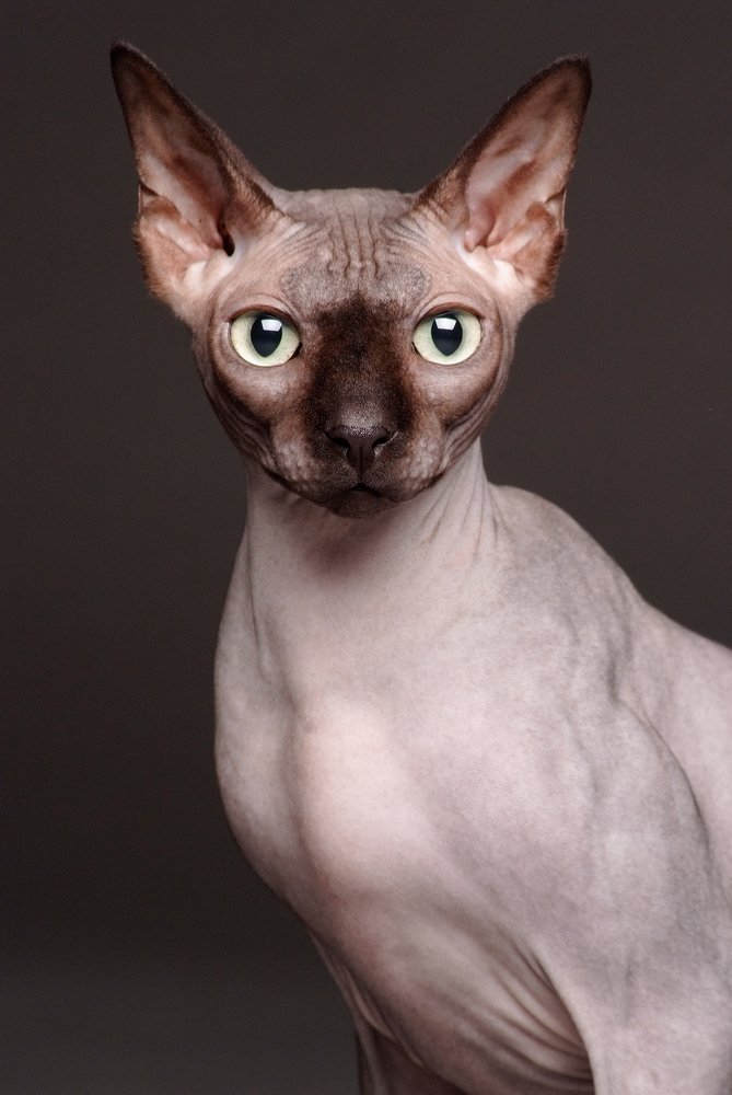 Photograph by Svet Lana