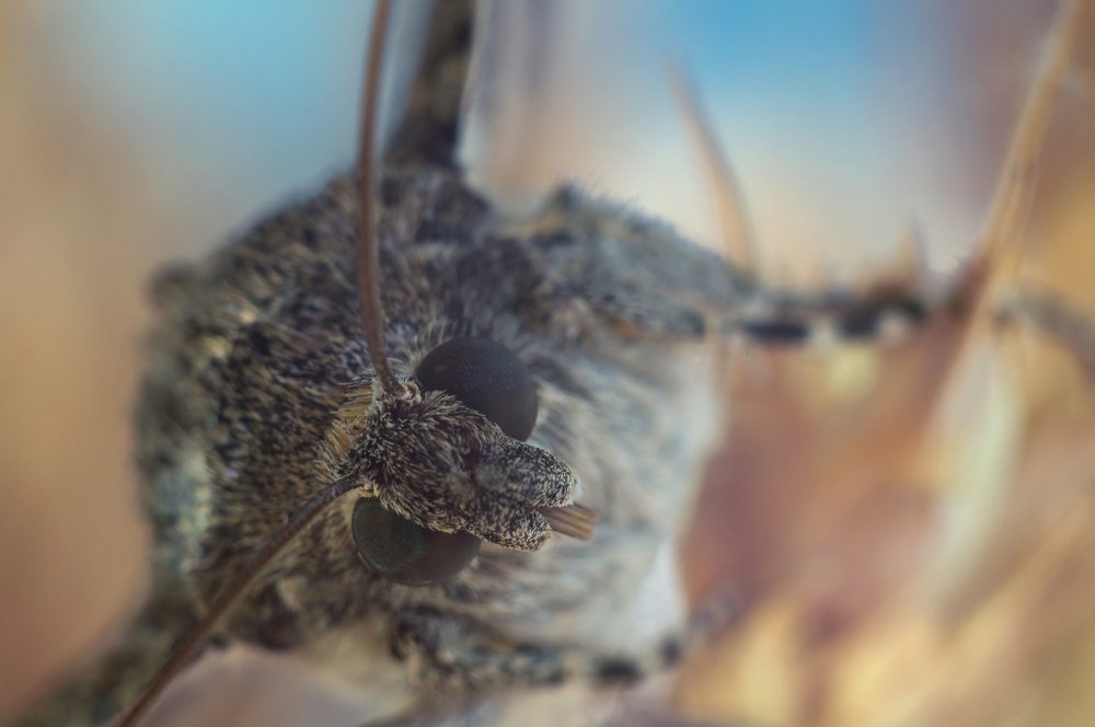 Photograph by Gabriel Wolf