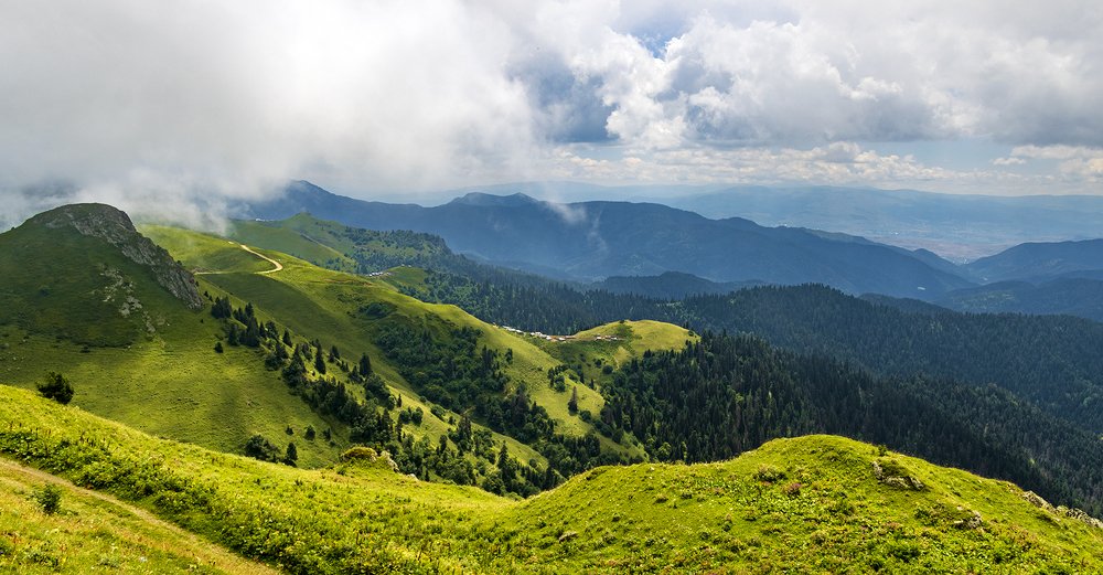 Photograph by Alex Kalpus