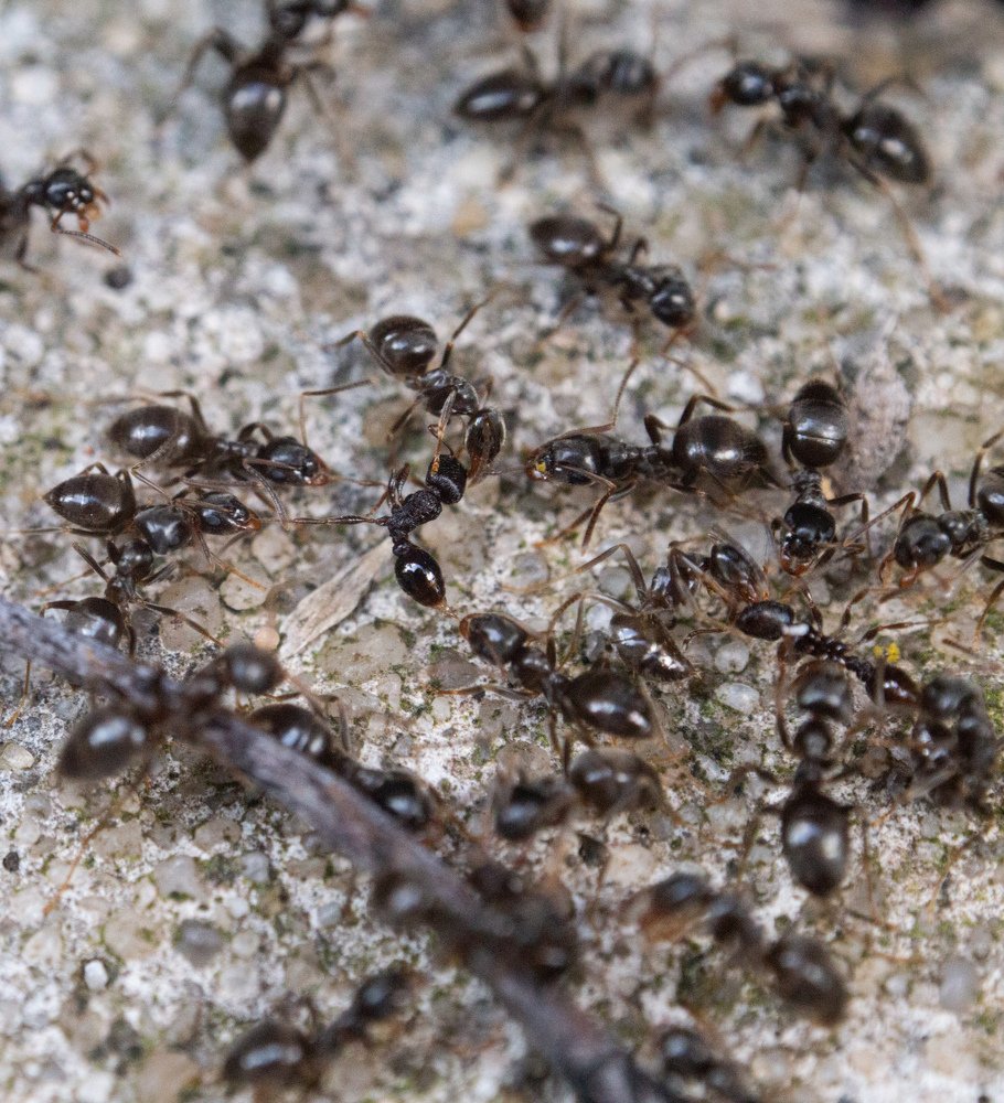 Фотография автора Тамара Нижельская