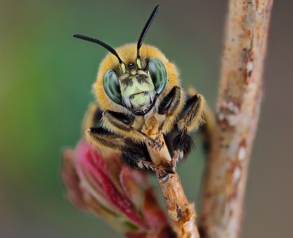 Позитивный настрой