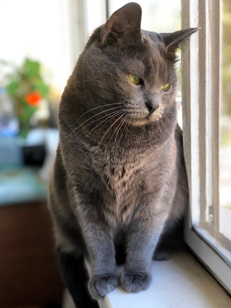 Photograph by Галина