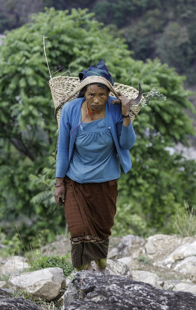 Собирательница