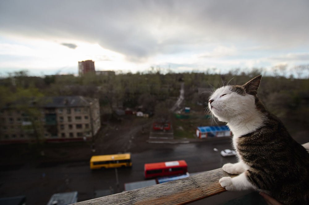 После дождя