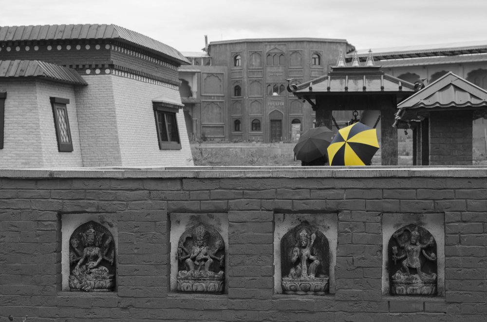 Никон или Билайн?