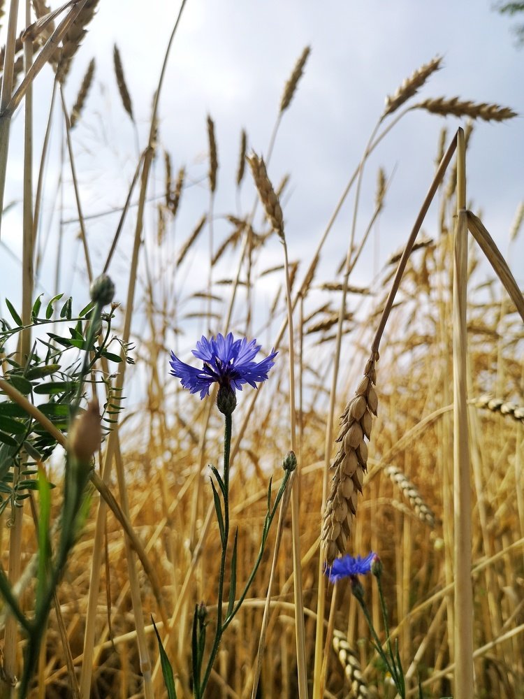 Photograph by Анна