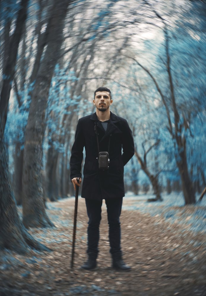 The traveler