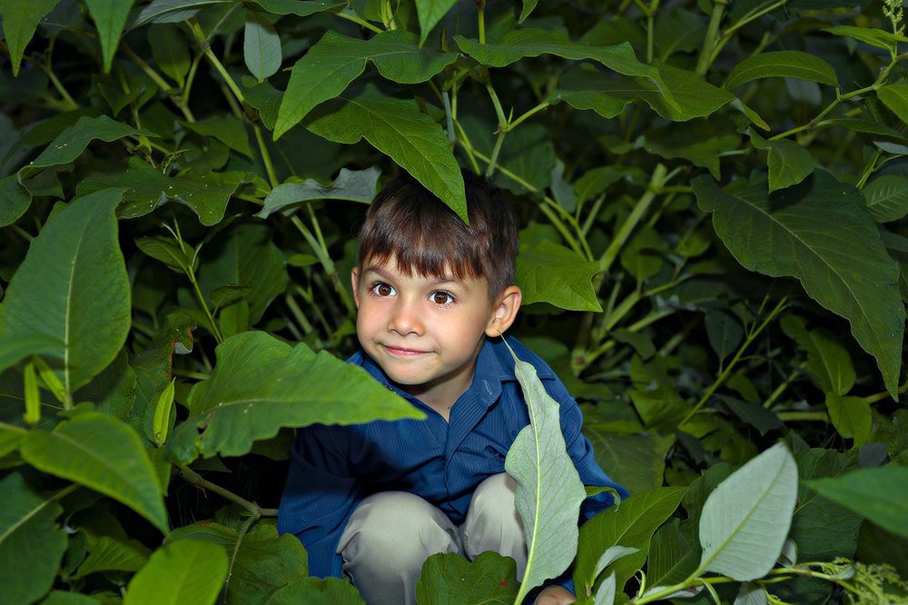 Ищут пожарные, ищет милиция