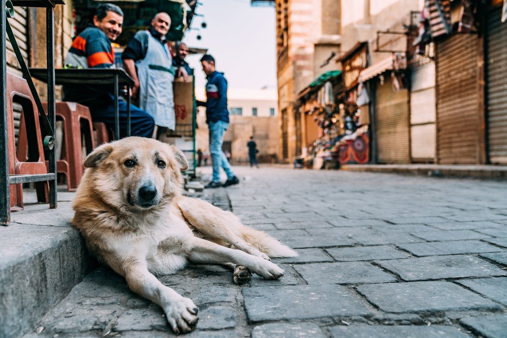 His name is Hazel nuts