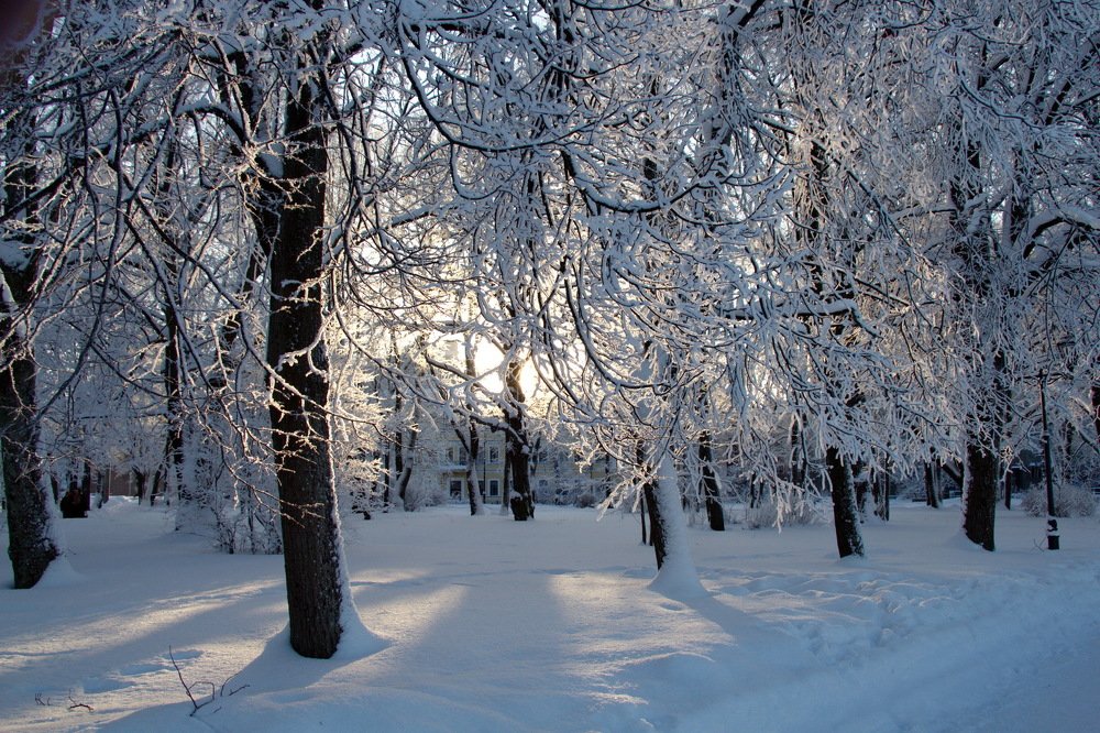 Морозный вечер.