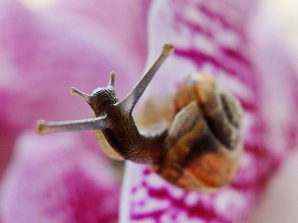 С добрым утром!