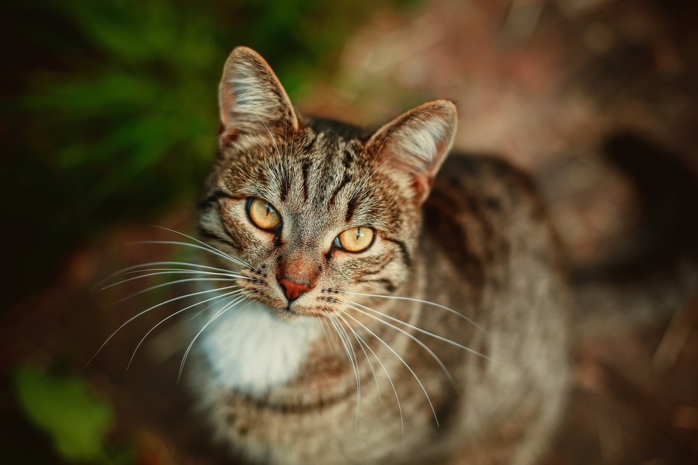 Photograph by Юлия Куркова