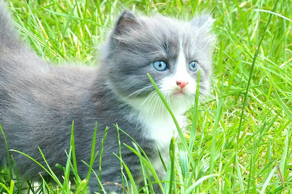 Photograph by Ирина