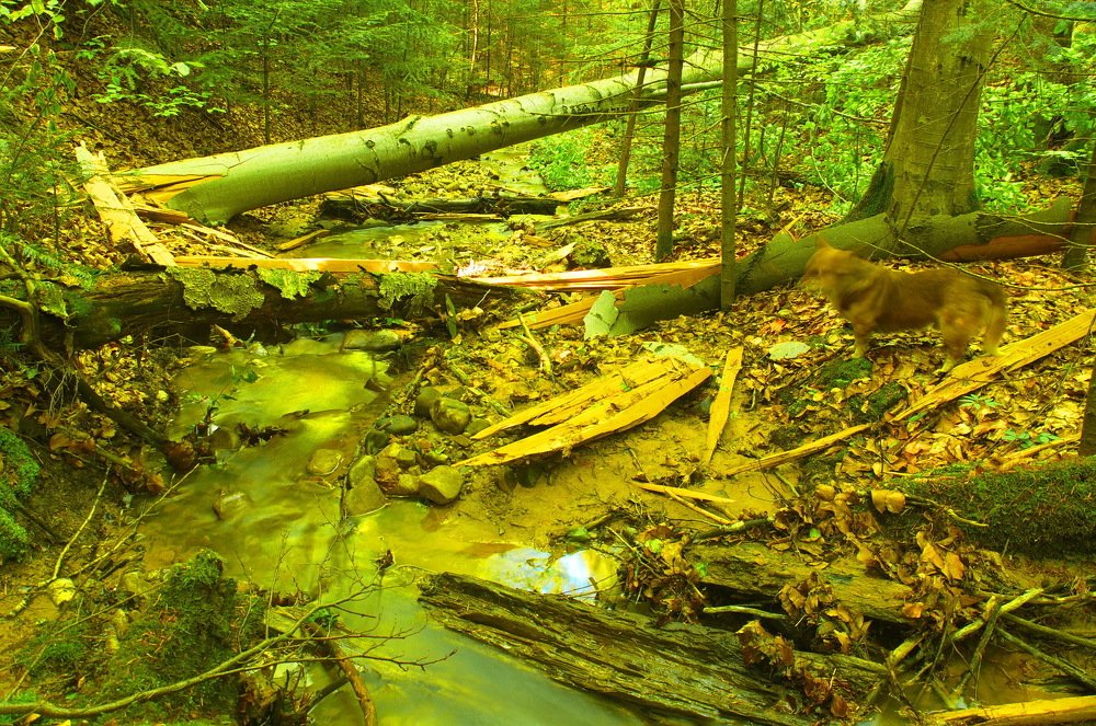 Сила молнии.