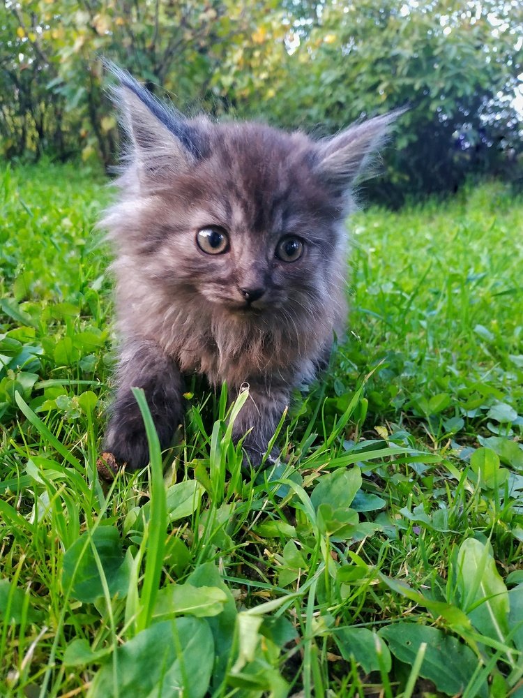 Photograph by Ирина