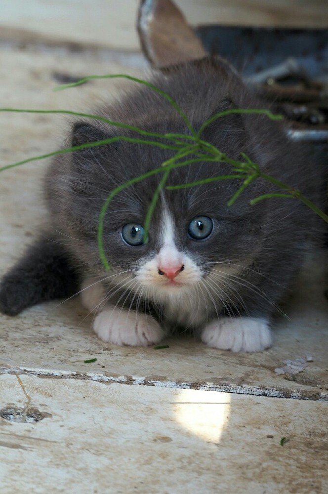 Photograph by Ирина