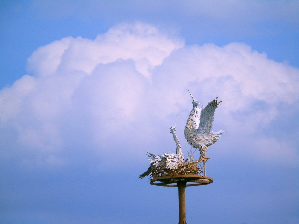 Аисты на крыше